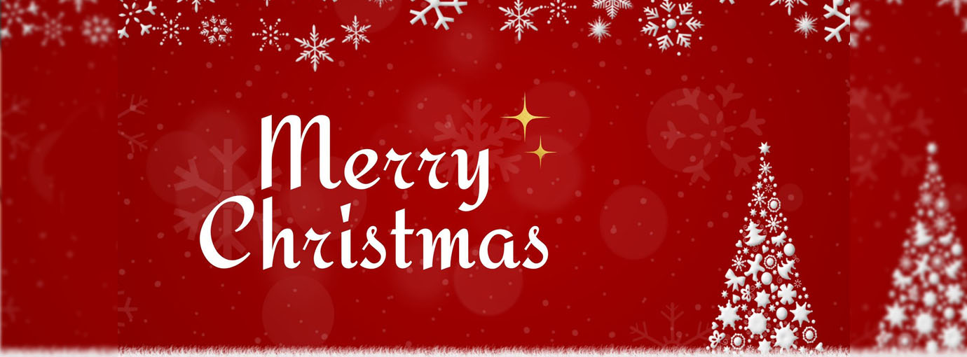 Leisure Swimwear Paradise -Leisure Swimwear Paradise 87